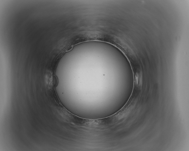 X0000111611251200907241002