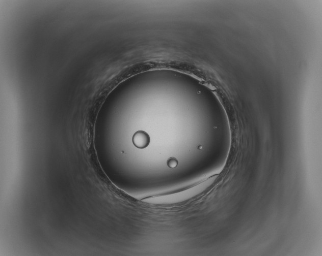X0000111611253200907241002