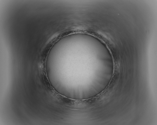 X0000111611254200907241002