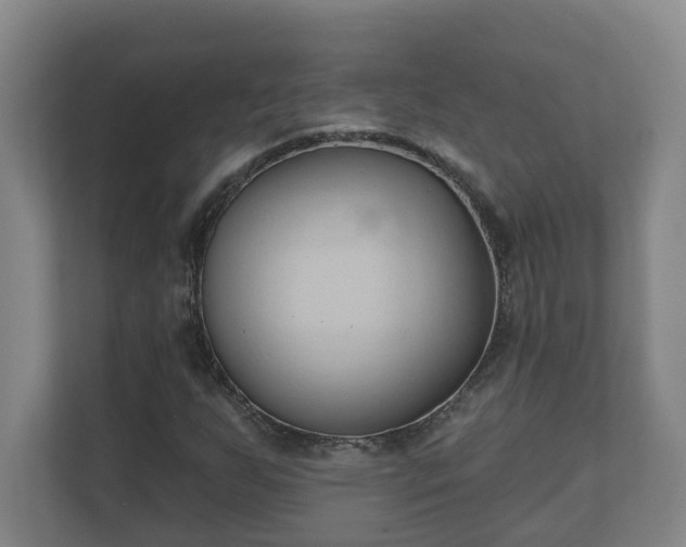 X0000111611255200907241002