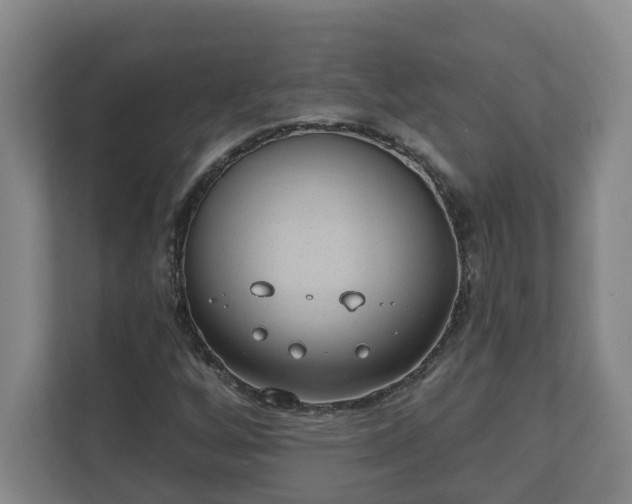 X0000111611256200907241002
