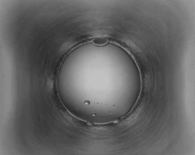 X0000111611257200907241002