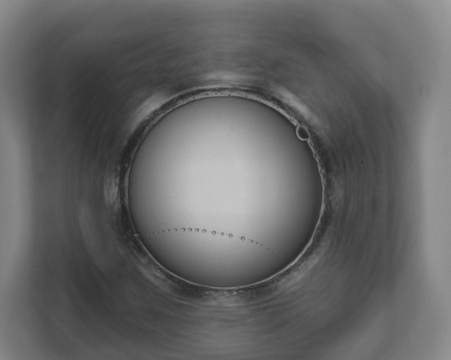 X0000111611259200907241002
