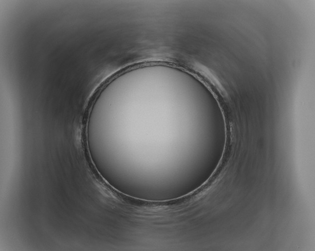 X0000111611260200907241002