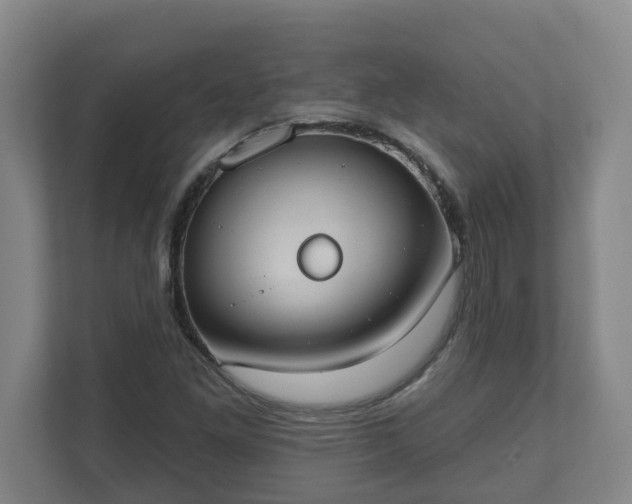 X0000111611261200907241002