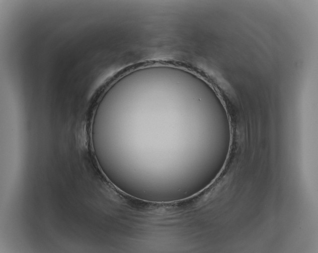 X0000111611262200907241002