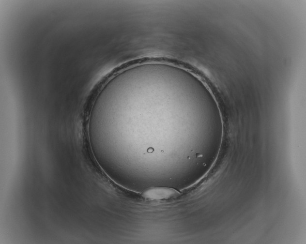 X0000111611263200907241002