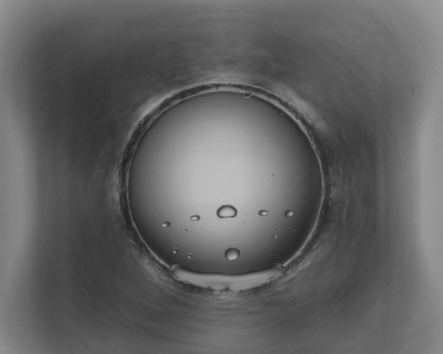 X0000111611264200907241002
