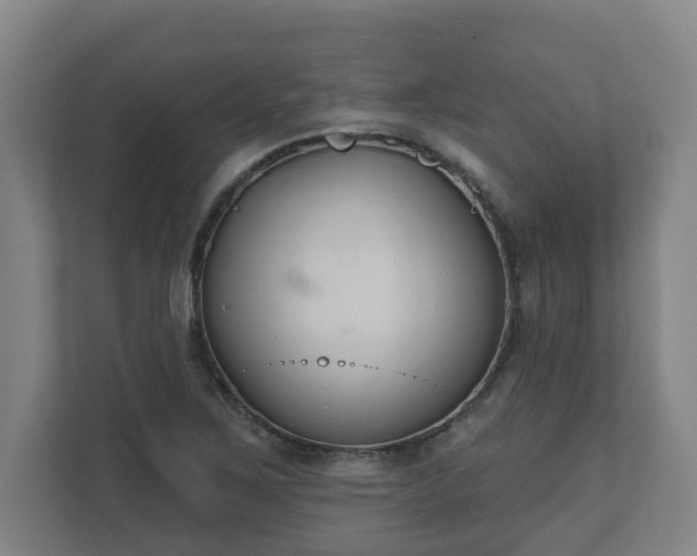 X0000111611267200907241002