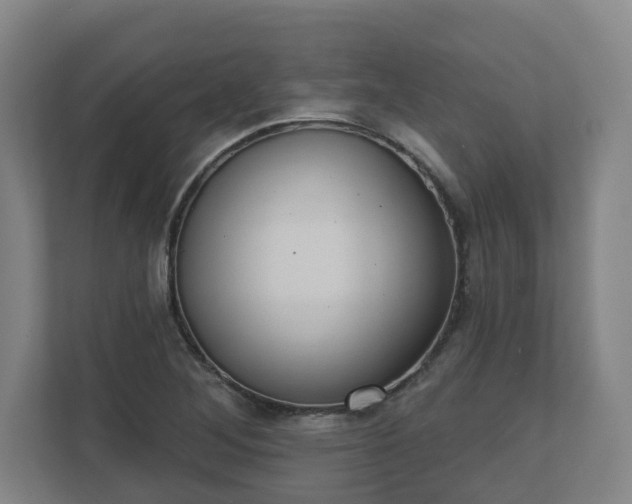 X0000111611268200907241002