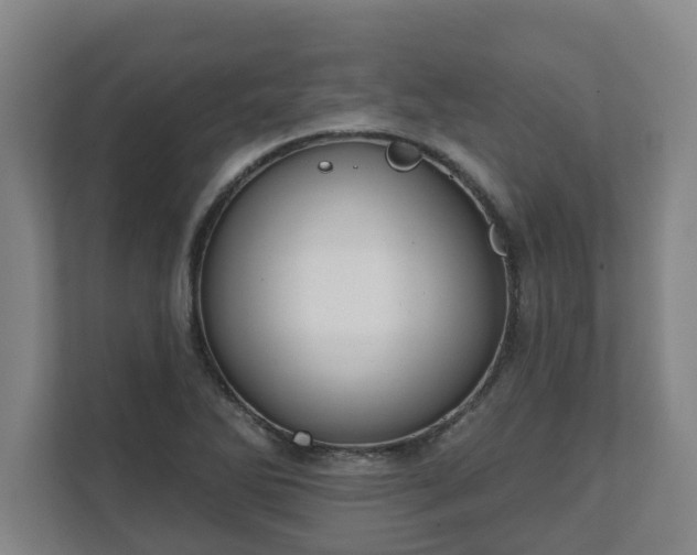 X0000111611270200907241002