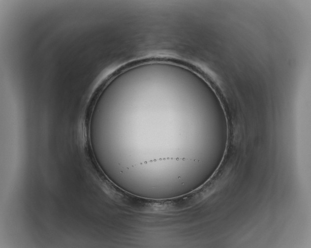 X0000111611271200907241002