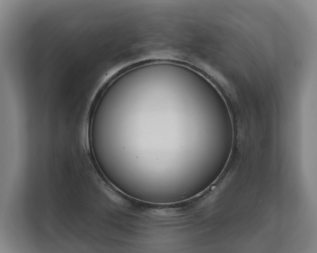 X0000111611272200907241002