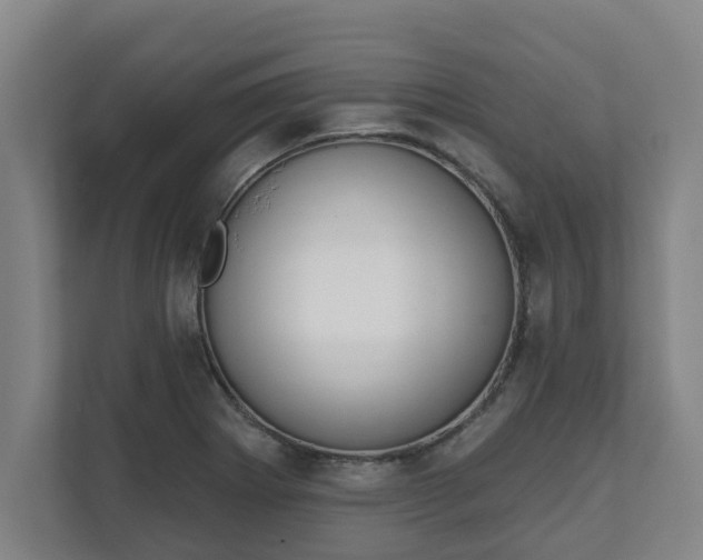 X0000111611273200907241002
