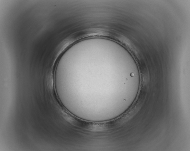 X0000111611274200907241002