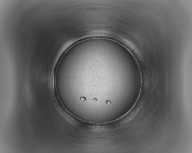X0000111611275200907241002