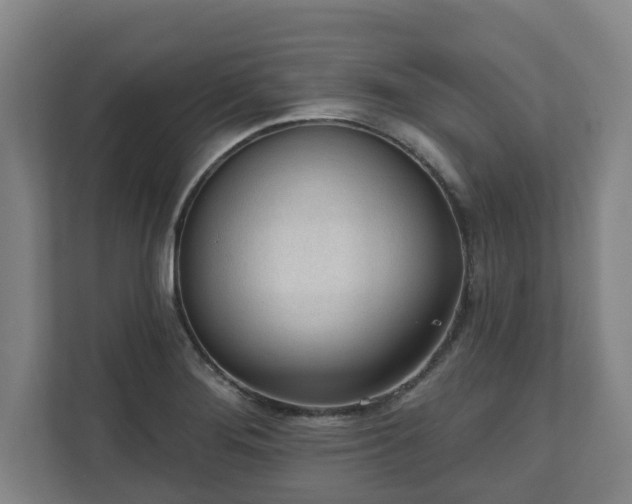 X0000111611276200907241002