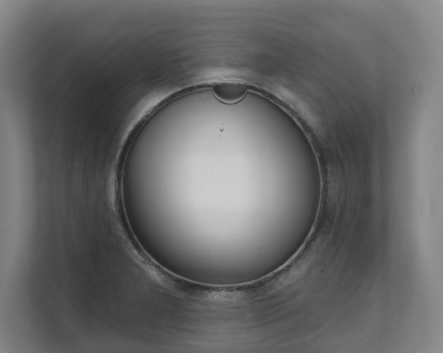 X0000111611277200907241002