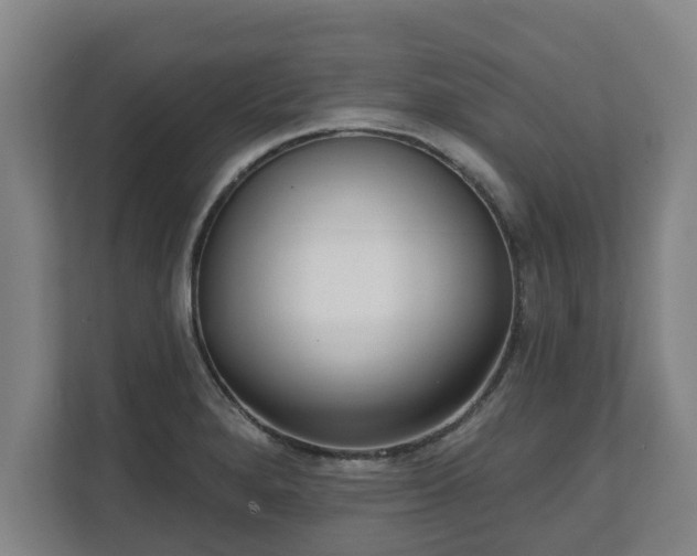 X0000111611280200907241002