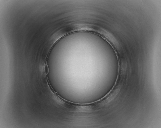 X0000111611281200907241002