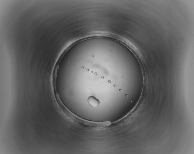 X0000111611283200907241002