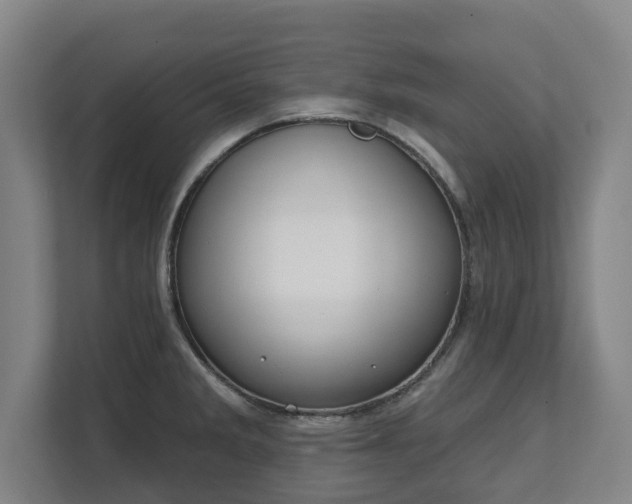 X0000111611285200907241002
