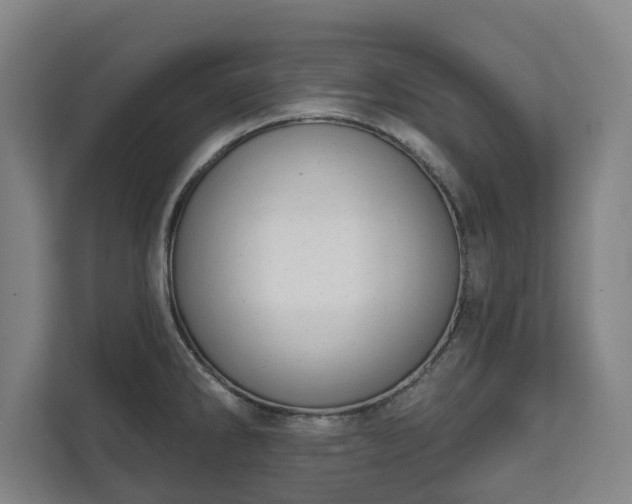 X0000111611286200907241002