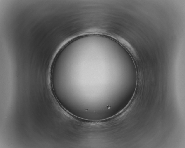 X0000111611288200907241002