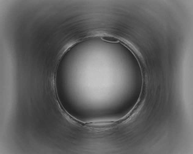 X0000111611289200907241002