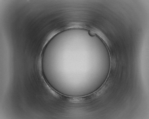 X0000111611290200907241002