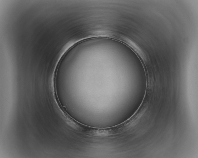 X0000111611291200907241002