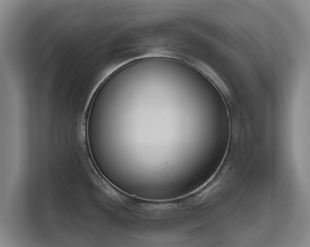 X0000111611292200907241002