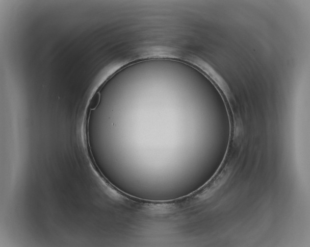 X0000111611293200907241002
