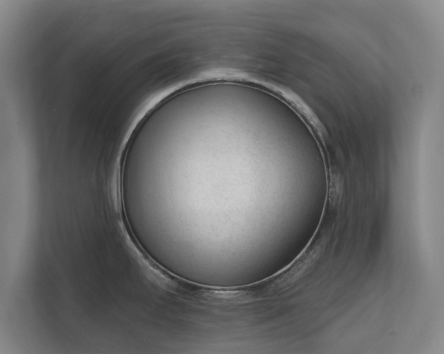 X0000111611295200907241002