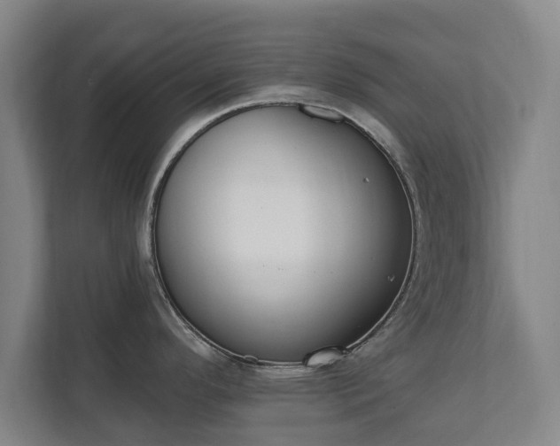 X0000111611296200907241002