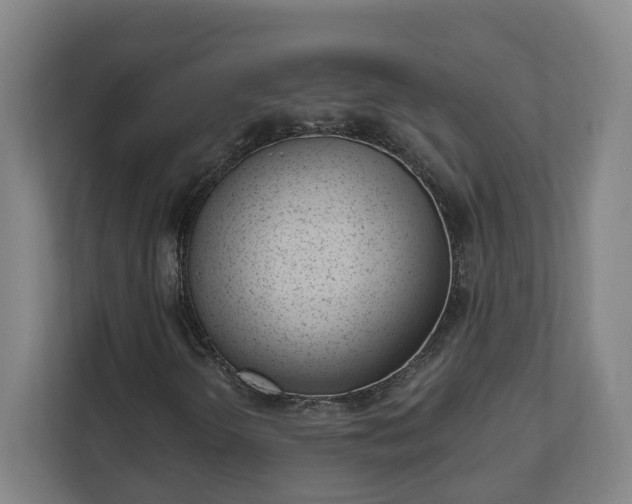 X0000111611298200907241001
