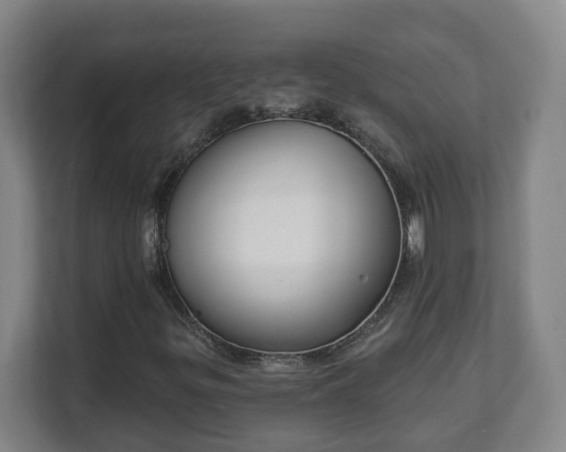 X0000111611299200907241001