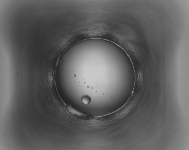 X0000111611300200907241001