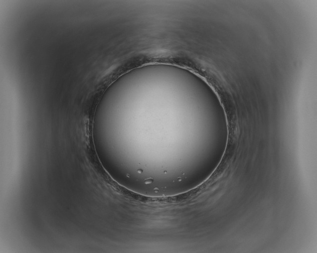 X0000111611301200907241001