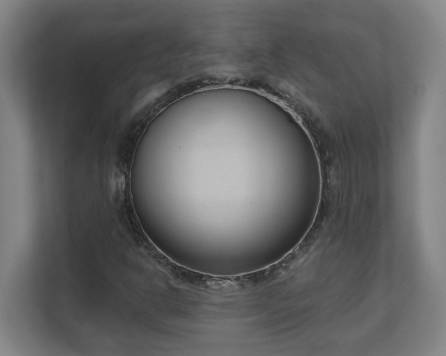 X0000111611302200907241001