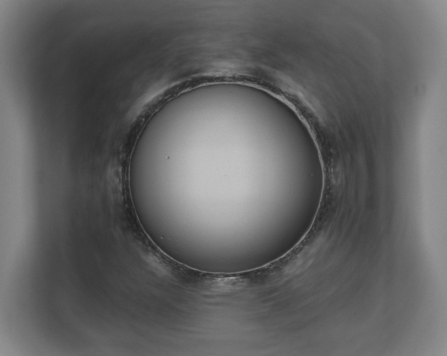 X0000111611304200907241001