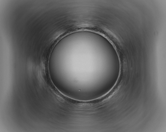 X0000111611305200907241001