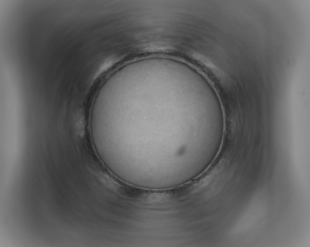 X0000111611306200907241001