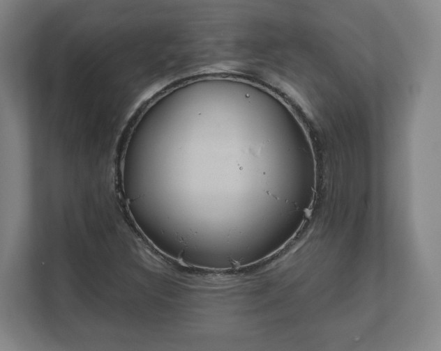 X0000111611308200907241001