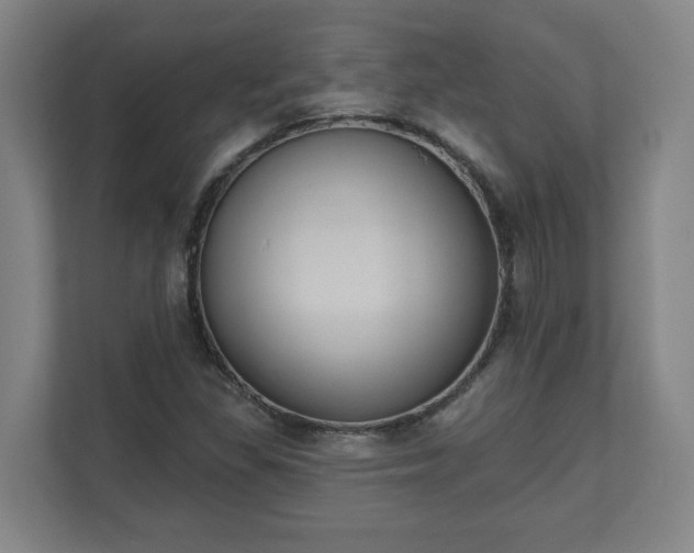 X0000111611309200907241001