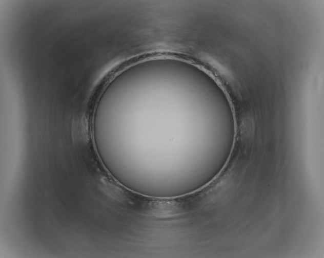 X0000111611310200907241001