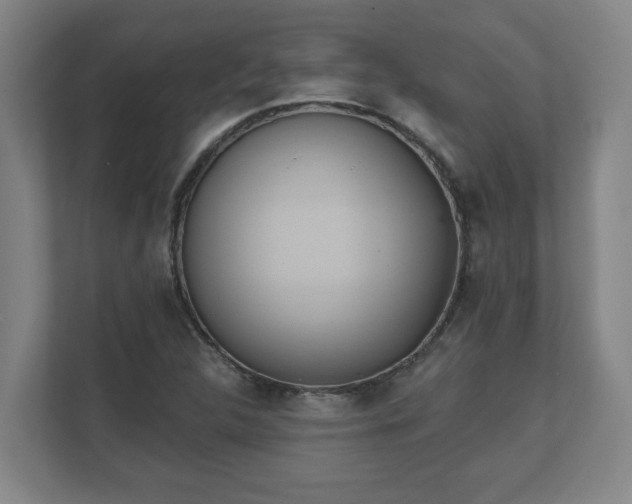 X0000111611312200907241001