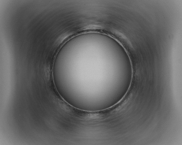 X0000111611313200907241001
