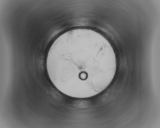 X0000111611314200907241001