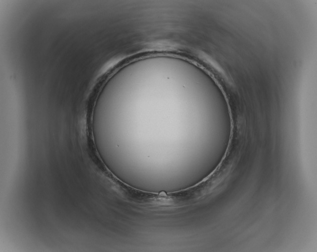 X0000111611315200907241001